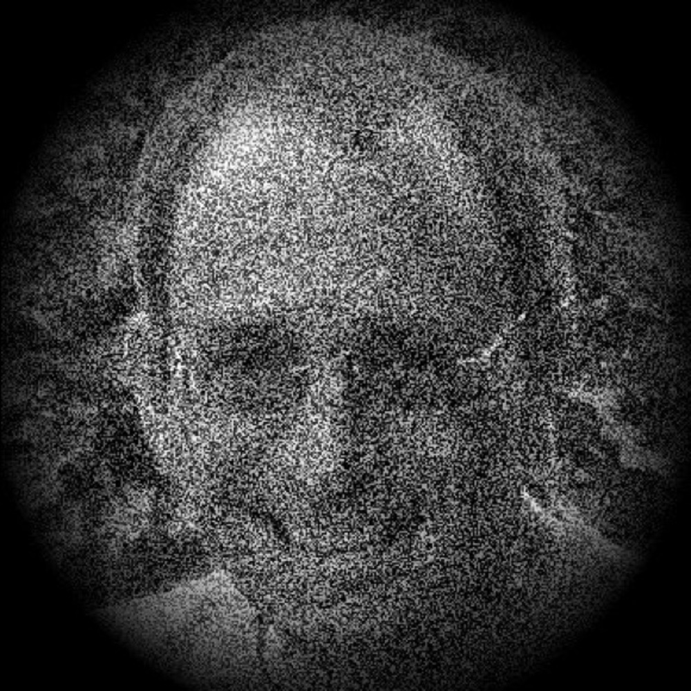 Meet your Posher, Jerry